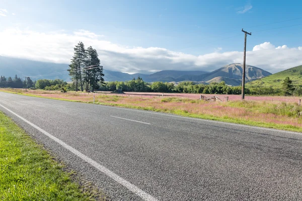 ニュージーランドの牧草地近くのアスファルト道路 — ストック写真