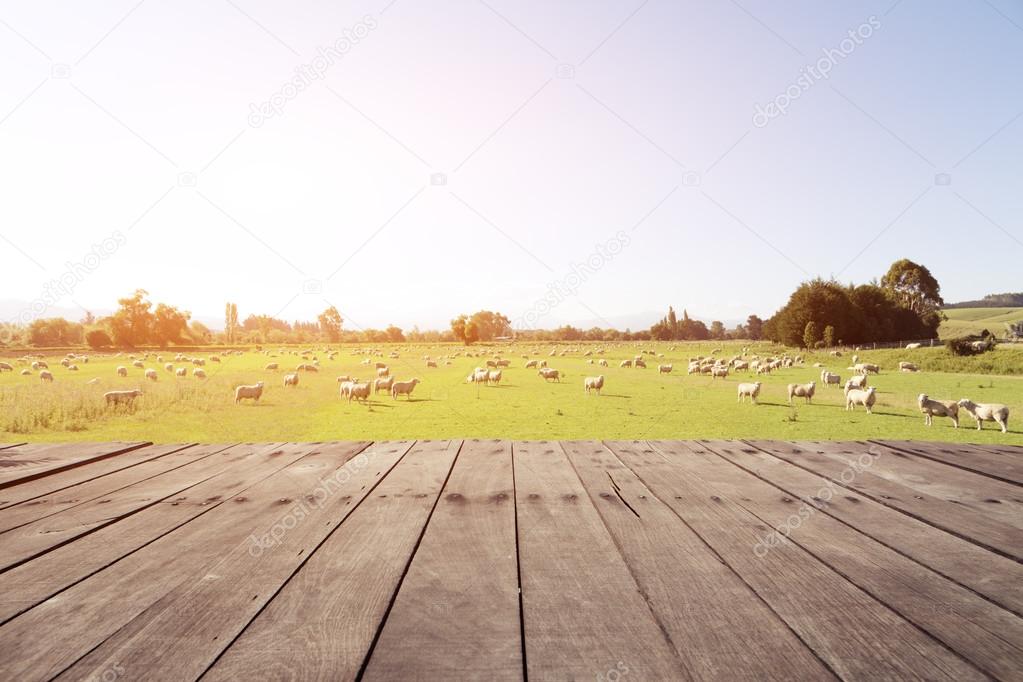 wood floor with pasture in New Zealand