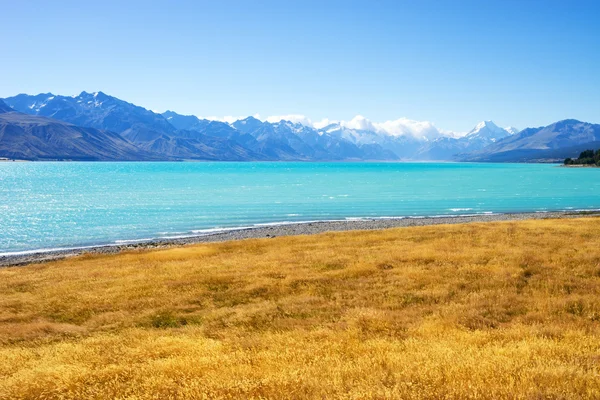 Луг возле озера в Новой Зеландии — стоковое фото