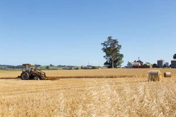Trabalhos de colheitadeira em campo de trigo na Nova Zelândia — Fotografia de Stock