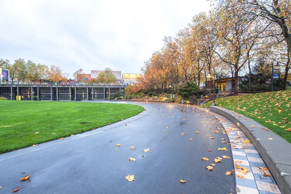 Strada asfaltata rurale vicino foresta a Seattle — Foto Stock