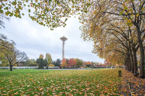 Landschaft des Parks in der Nähe von Raum Nadel in Seattle — Stockfoto