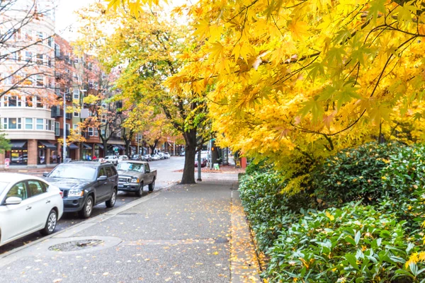 Тротуар и деревья на городской улице в Портленде — стоковое фото