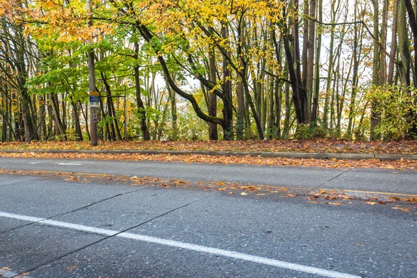 Route asphaltée à travers la forêt en automne à Portland — Photo