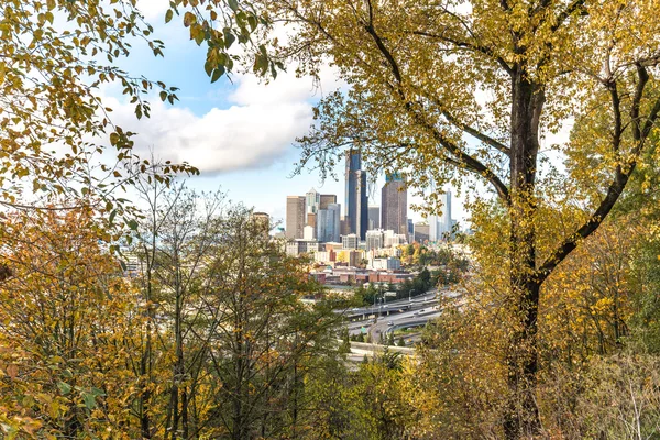 Stadtbild Und Silhouette Von Seattle Vom Wald Aus Sehen — Stockfoto