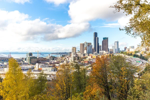 Stadtbild Und Silhouette Von Seattle Vom Wald Aus Sehen — Stockfoto