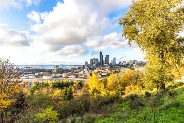 Skyline Skyline Van Seattle Bewonderen Van Bos — Stockfoto