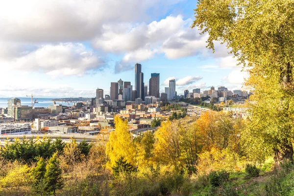 Skyline Skyline Van Seattle Bewonderen Van Bos — Stockfoto