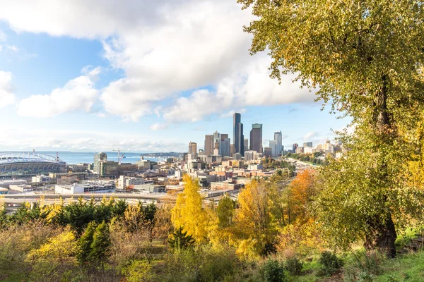 Skyline Skyline Van Seattle Bewonderen Van Bos — Stockfoto