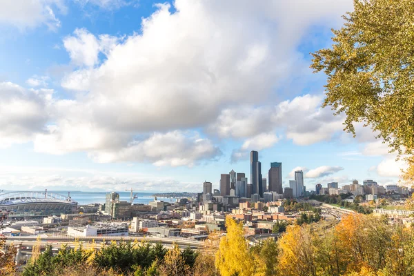 Skyline Skyline Van Seattle Bewonderen Van Bos — Stockfoto