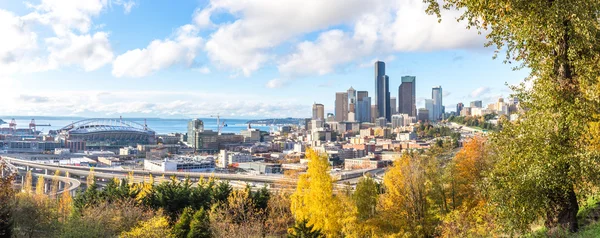 Cityscape Skyline Seattle View Forest — Stock Photo, Image