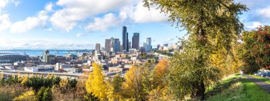 Cityscape ve görünümde ormandan gelen Seattle manzarası