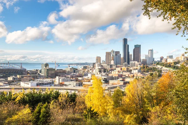 Stadtbild Und Silhouette Von Seattle Vom Wald Aus Sehen — Stockfoto