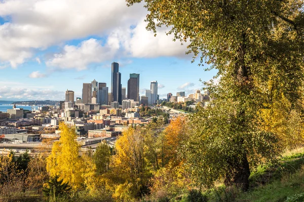 Skyline Skyline Van Seattle Bewonderen Van Bos — Stockfoto