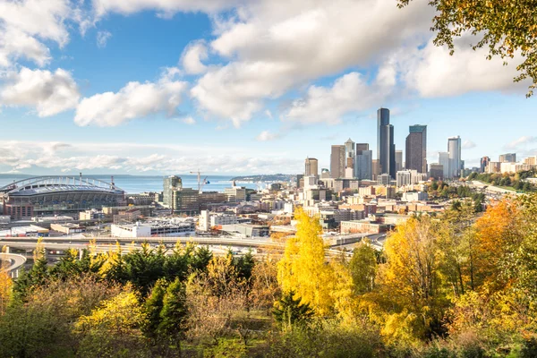 Skyline Skyline Van Seattle Bewonderen Van Bos — Stockfoto