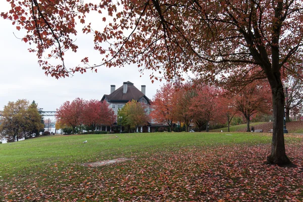 Portland Nehri yakınında Şehir Parkı — Stok fotoğraf