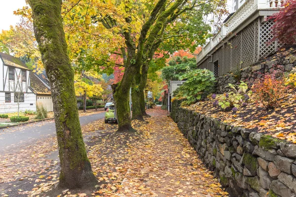 Дорога и деревья рядом с жилым домом в Портленде — стоковое фото