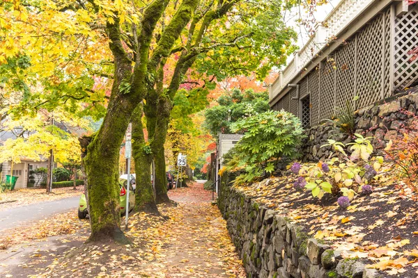 Cesta a stromy v blízkosti obytného domu v Portlandu — Stock fotografie