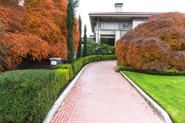 Empty road in garden near building — Stock Photo, Image