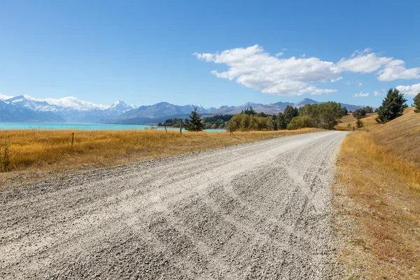 Leere Landstraße durch Weideland in Neuseeland — Stockfoto