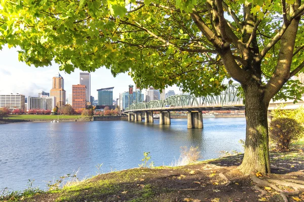 Cityscape ve köprü Portland kıyısında ağaç — Stok fotoğraf