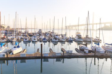 Yelkenli tekneler sakin su San Francisco Körfezi