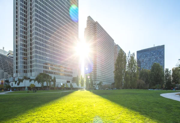 Grasland in de buurt van moderne kantoorgebouwen met sunbeam — Stockfoto