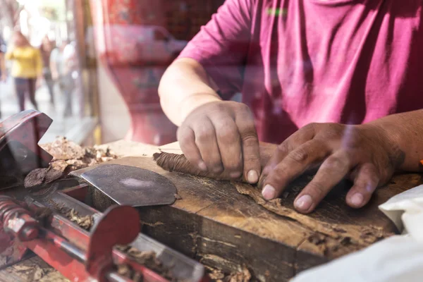 Man making cigar — Stock Photo, Image