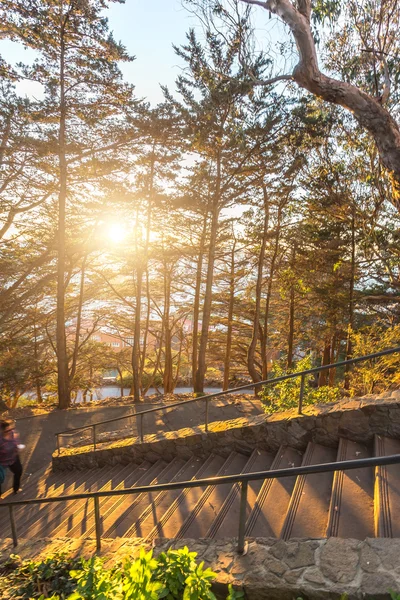 在森林山与阳光的空步骤 — 图库照片