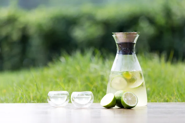Вкусный напиток на столе с зеленым растением — стоковое фото