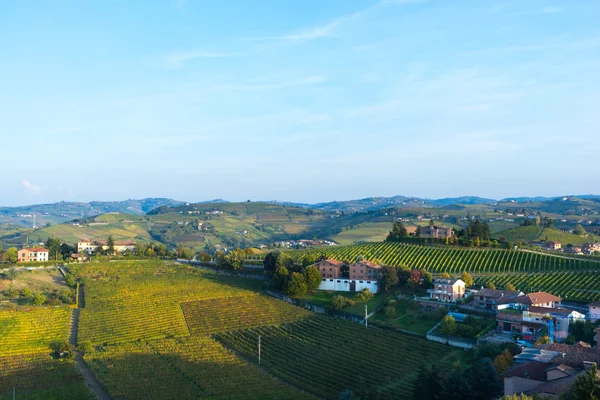 Krásné vinice ve Švýcarsku — Stock fotografie