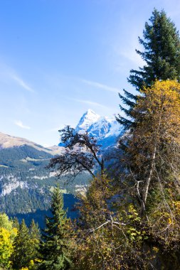Alp Dağları'nın kar sahne