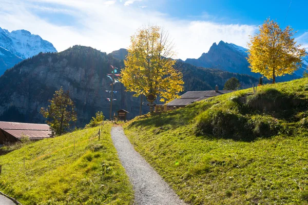 Gras en bomen over de weg in de buurt van bergen van de Alpen — Stockfoto