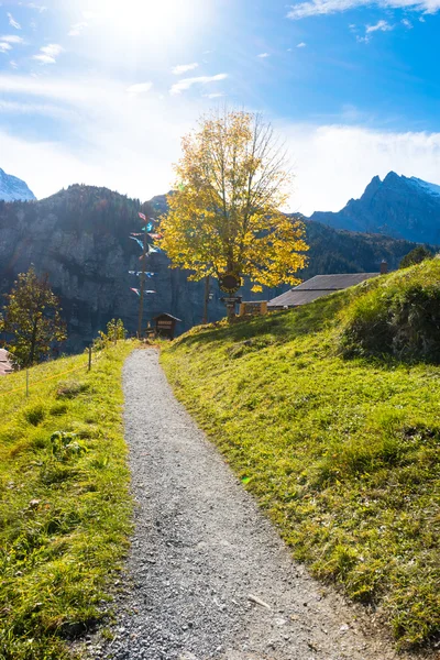 Grama e árvores por estrada perto das montanhas dos Alpes — Fotografia de Stock