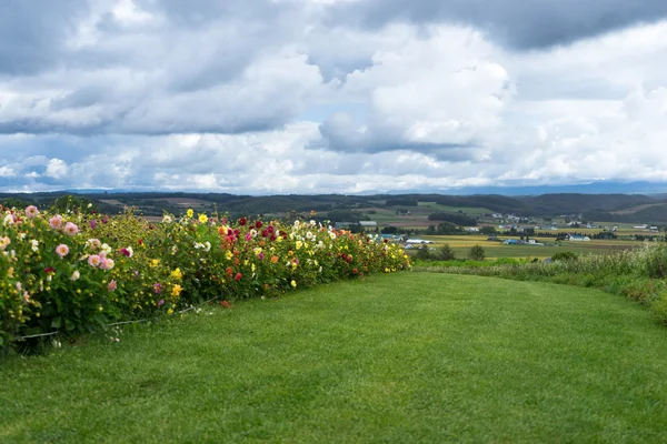 Beau jardin à Hokkaido — Photo