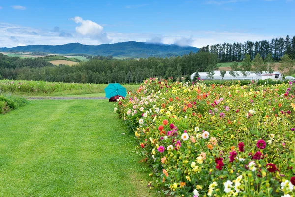 Prachtige tuin in Hokkaido — Stockfoto
