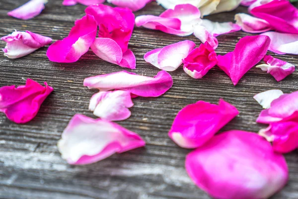 Petali di rosa rossa sul vecchio tavolo — Foto Stock