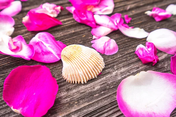 Petali di rosa rossa sul vecchio tavolo — Foto Stock