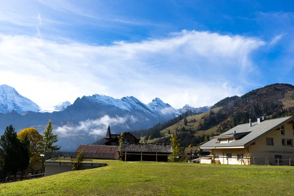 Дома в лесу рядом с Альпами в Швейцарии — стоковое фото