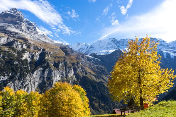 Huizen van dorp in de buurt van bergen van de Alpen van Zwitserland — Stockfoto