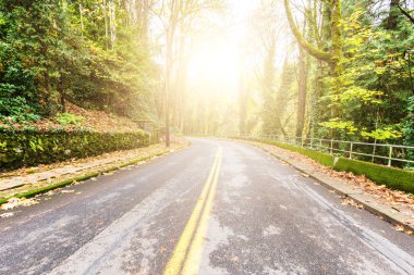 Güneş ışını ile boş kırsal beton yol