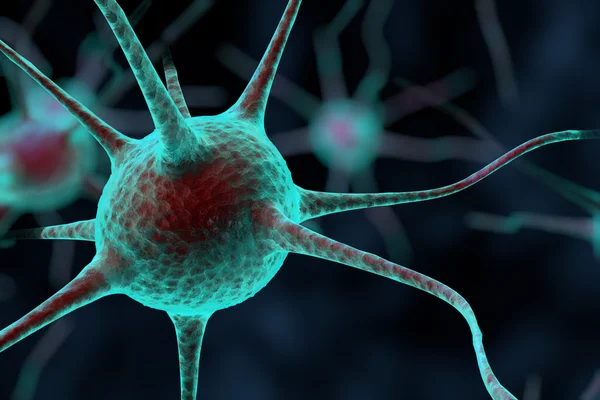 Трехмерные нервные клетки — стоковое фото