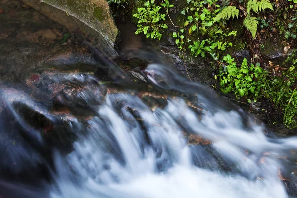 Vloeiende creek close-up — Stockfoto