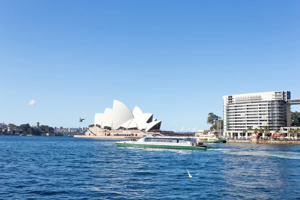 Sydney operahus og hav - Stock-foto