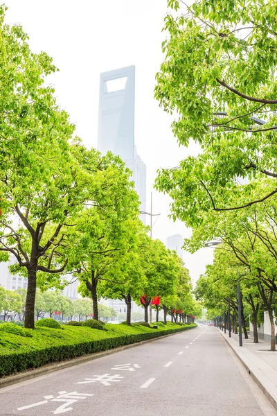Дерева, прикрашені дорогою в сучасному місті — стокове фото