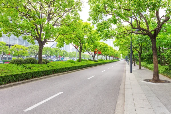 Дерева, прикрашені дорогою в сучасному місті — стокове фото