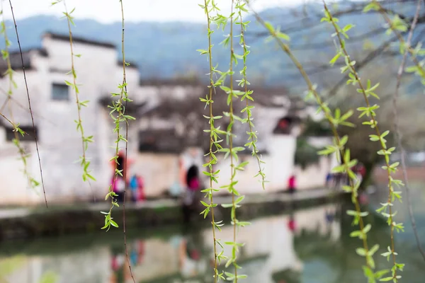 Čínské vinobraní rezidence na břehu jezera — Stock fotografie