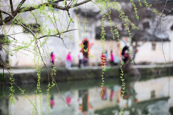 中国老式居住在湖畔 — 图库照片