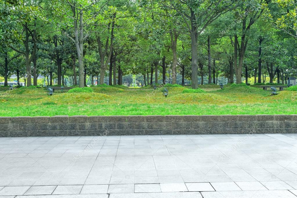 urban road with green trees