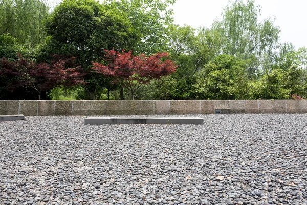 Lege zandsteen grond in park met plant — Stockfoto